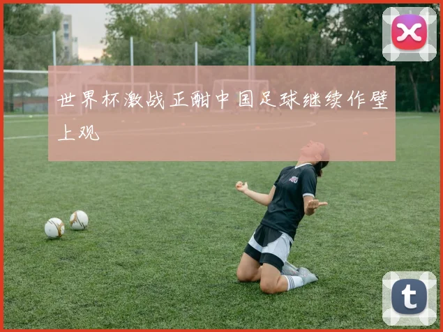 世界杯激战正酣中国足球继续作壁上观
