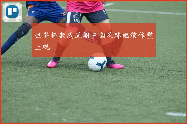 世界杯激战正酣中国足球继续作壁上观