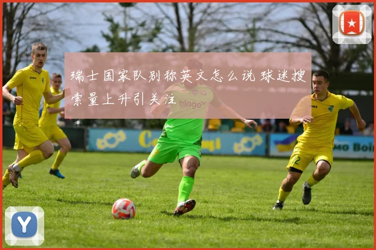 瑞士国家队别称英文怎么说 球迷搜索量上升引关注