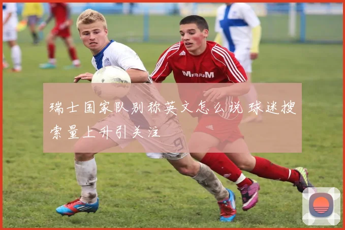瑞士国家队别称英文怎么说 球迷搜索量上升引关注